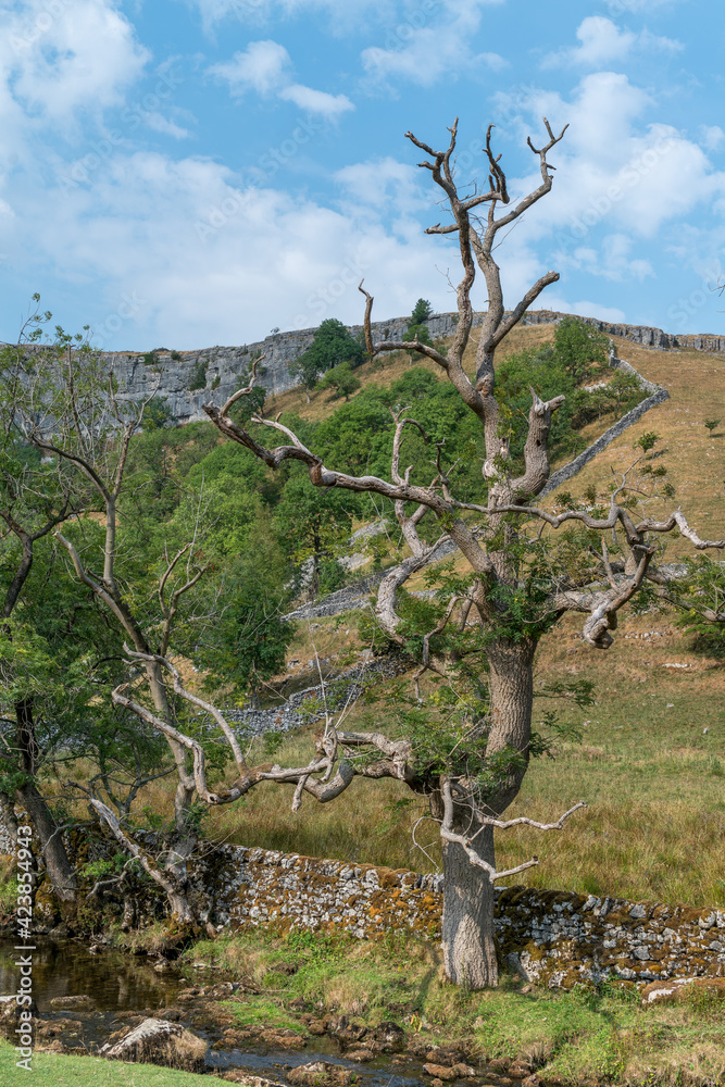 View of the countryside around Malham Cove in the Yorkshire Dales National Park View of the countryside around Malham Cove in the Yorkshire Dales National Park
