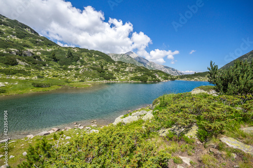 Fish Banderitsa lake at Pirin Mountain, Bulgaria