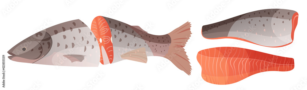 Sliced salmon fish. Set fillet, red fish cut in half in cartoon style. Vector illustration Sliced salmon fish. Set fillet, red fish cut in half in cartoon style. Vector illustration