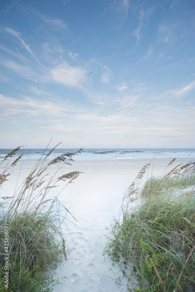 USA, North Carolina, Path leading towards beach USA, North Carolina, Path leading towards beach