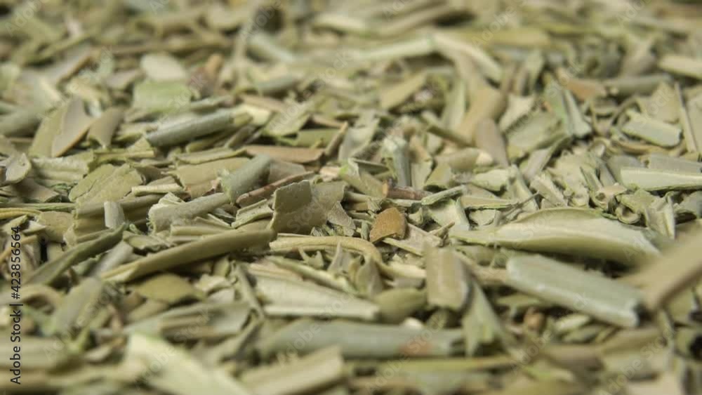 Dried olive leaves fall in a heap in slow motion. Macro shot. Rotation. Alternative herbal medicine concept Dried olive leaves fall in a heap in slow motion. Macro shot. Rotation. Alternative herbal medicine concept