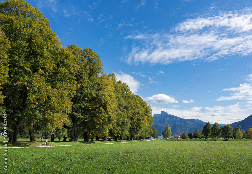 Obraz premium Path Leading from Mondsee down to the Lake