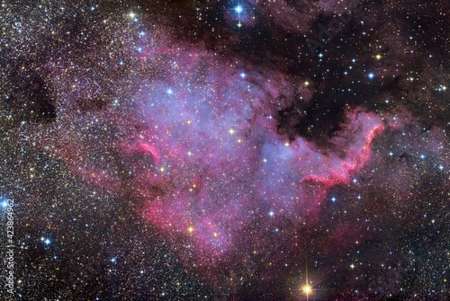 Fototapeta Naklejka Na Ścianę i Meble -  North America Nebula NGC 7000