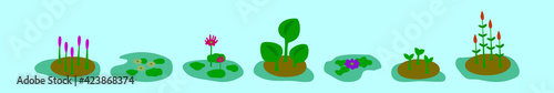 set of swamp plant cartoon design template with various models. vector illustration isolated on blue background