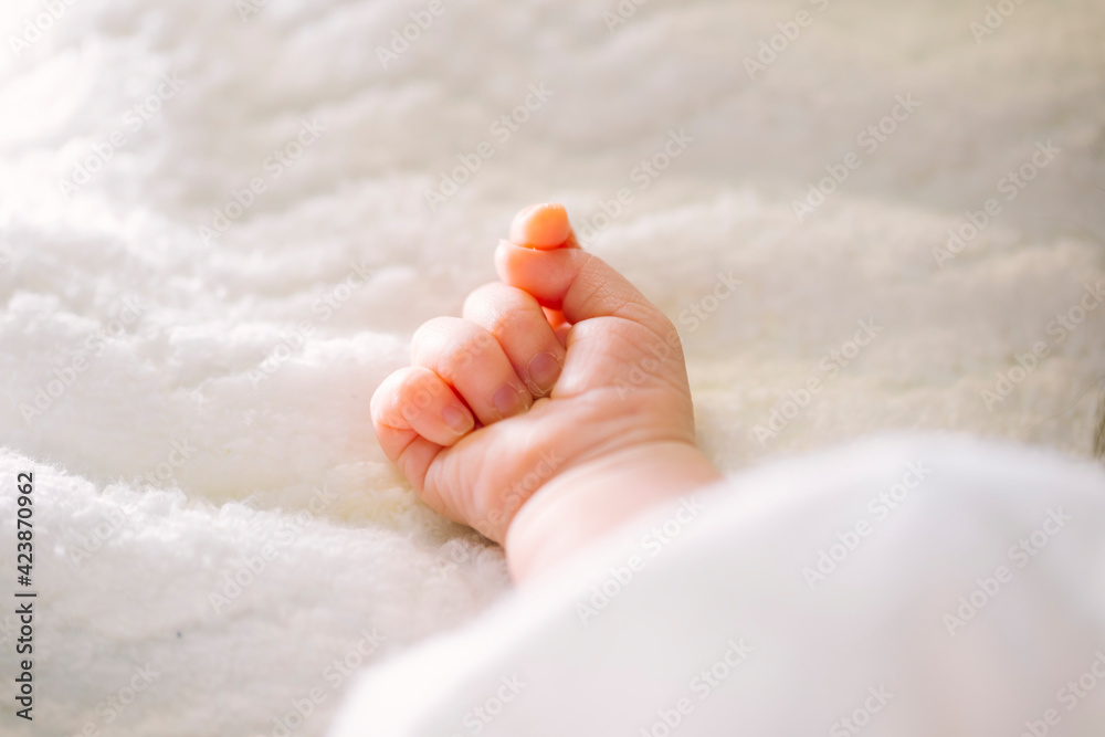 赤ちゃん・新生児・乳児の右手 赤ちゃん・新生児・乳児の右手