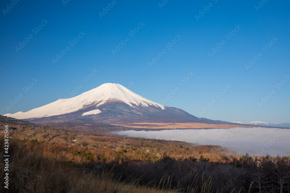 mountain in winter