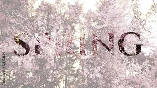 Animated word 