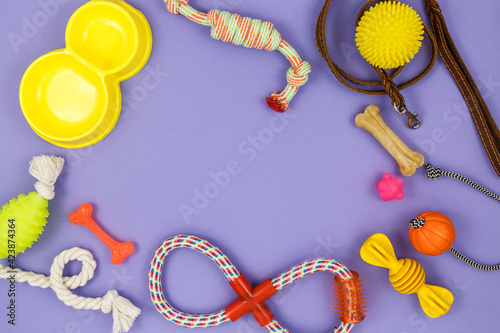Different multicolored pet care accessories: ring, bones, leash, collar, balls on violet background. Rubber and textile accessories for dogs. Top view, flat lay. Copy space