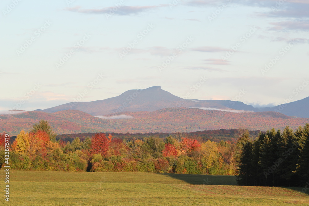 Fototapeta premium colorful fall foliage mountain peak