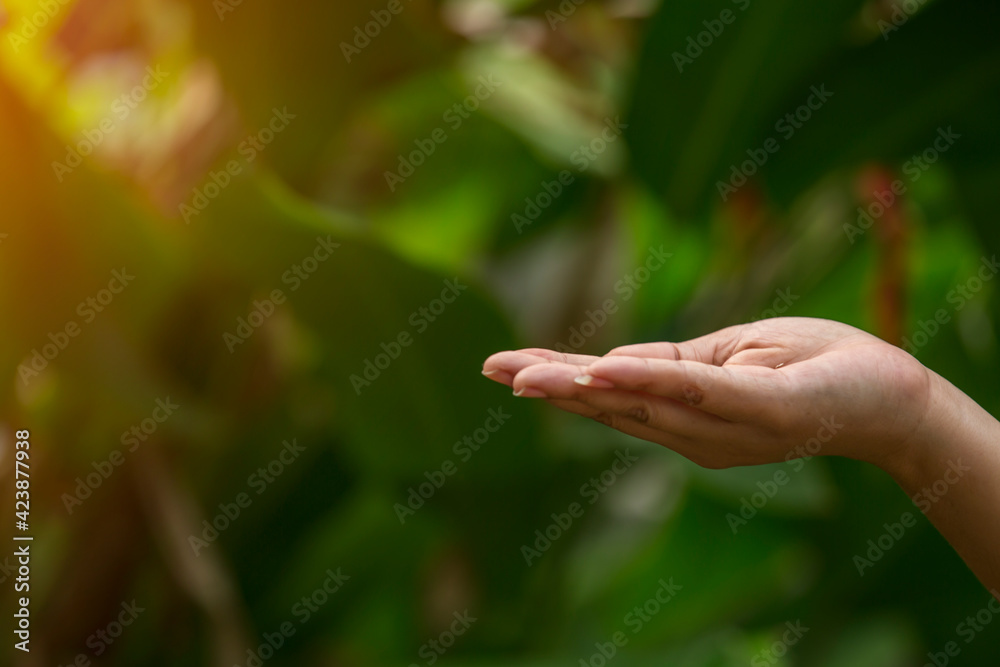 Technology, hand holding with environment Icons over the Network connection on green background. Technology, hand holding with environment Icons over the Network connection on green background.