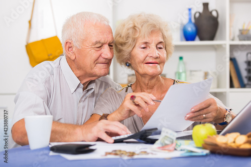 Smiling senior couple sitting at table counting home finances with laptop © JackF