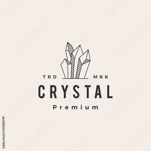 crystal gem stone hipster vintage logo vector icon illustration