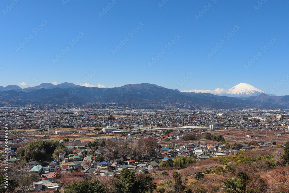 足柄平野と富士山（神奈川県小田原市）