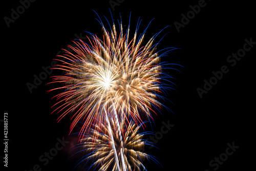 Fireworks of various colours on black background. New Year celebration colourful fireworks.