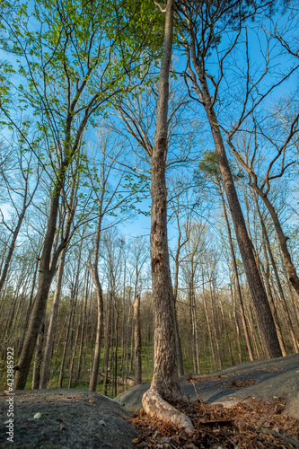 Big Rocks Nature Preserve, Mecklenburg County, NC  photo