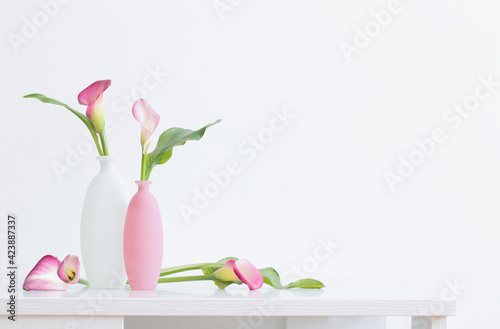 beautiful pink flowers in vases  on white background