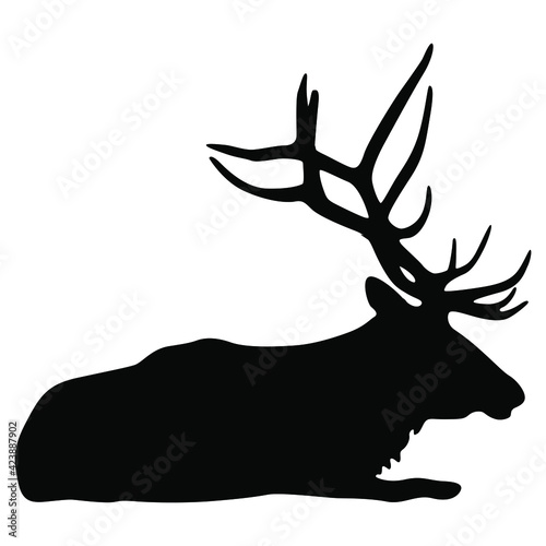 Lying deer buck or elk with antlers. Black silhouette on white background.