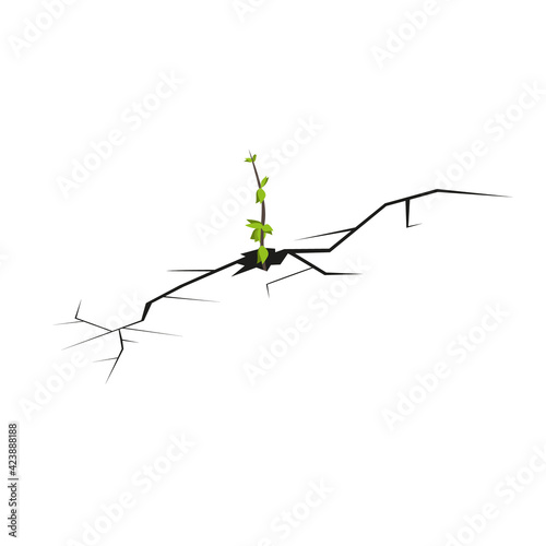 Crack in the ground. Dry desert or soil. A green young plant growing through a crevice. The power of the surrounding nature. Vector image