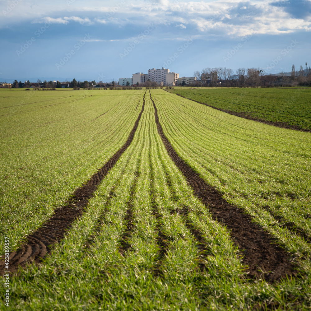 Tracks on a agricultural field near a village