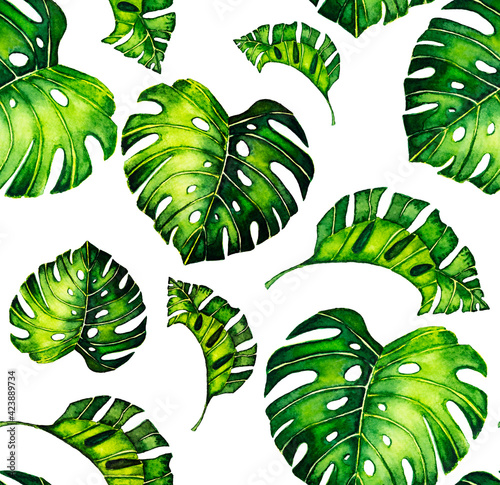 Seamless pattern of leaves monstera. Tropical leaves of palm tree. background.
