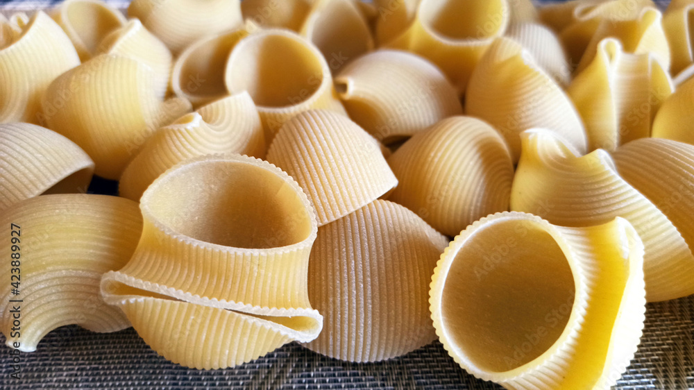 pasta isolated on white background pasta isolated on white background