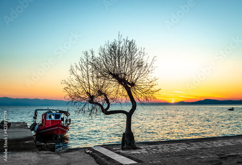 Sunset in Afissos, Greece. A bare tree at the waterfront, a boat and horizon over water. photo