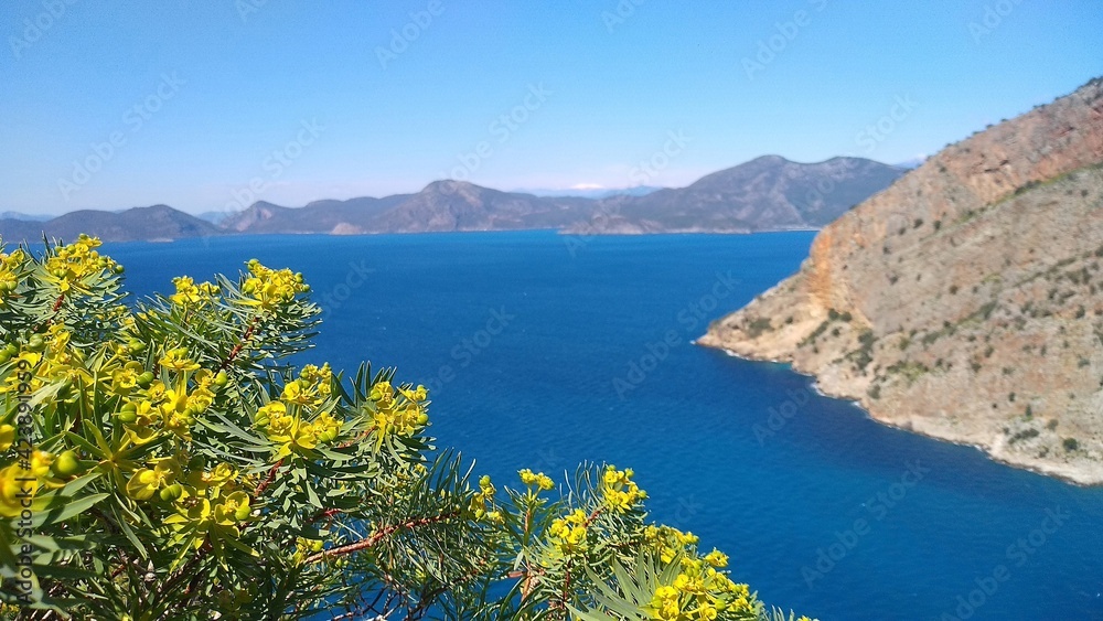 Obraz premium Alania, view of mediterranean sea and mountains