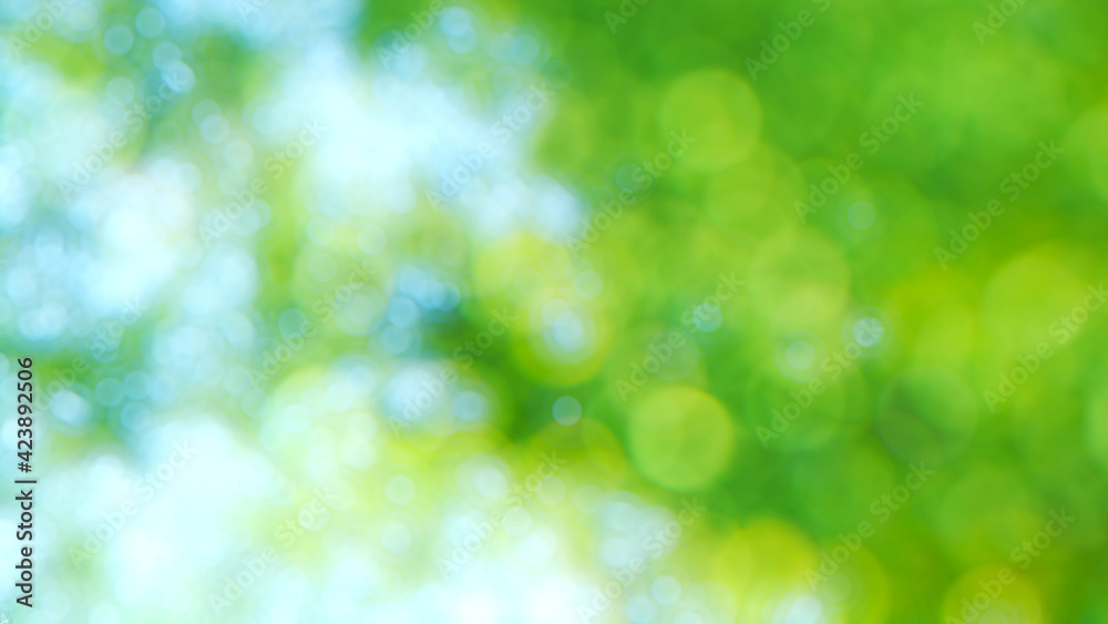 3d green nature bokeh with blue sky in background