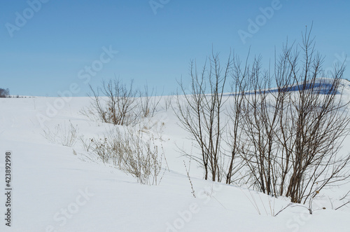 Wallpaper Mural winter landscape, snow and blue sky Torontodigital.ca
