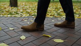 Man legs walking along path in daytime. Male feet moving slowly in autumn park