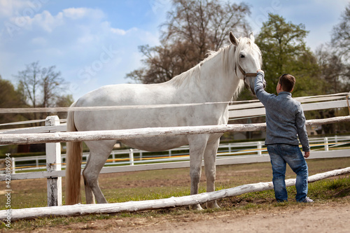 Φωτογραφία White horses with boy and soft touch.