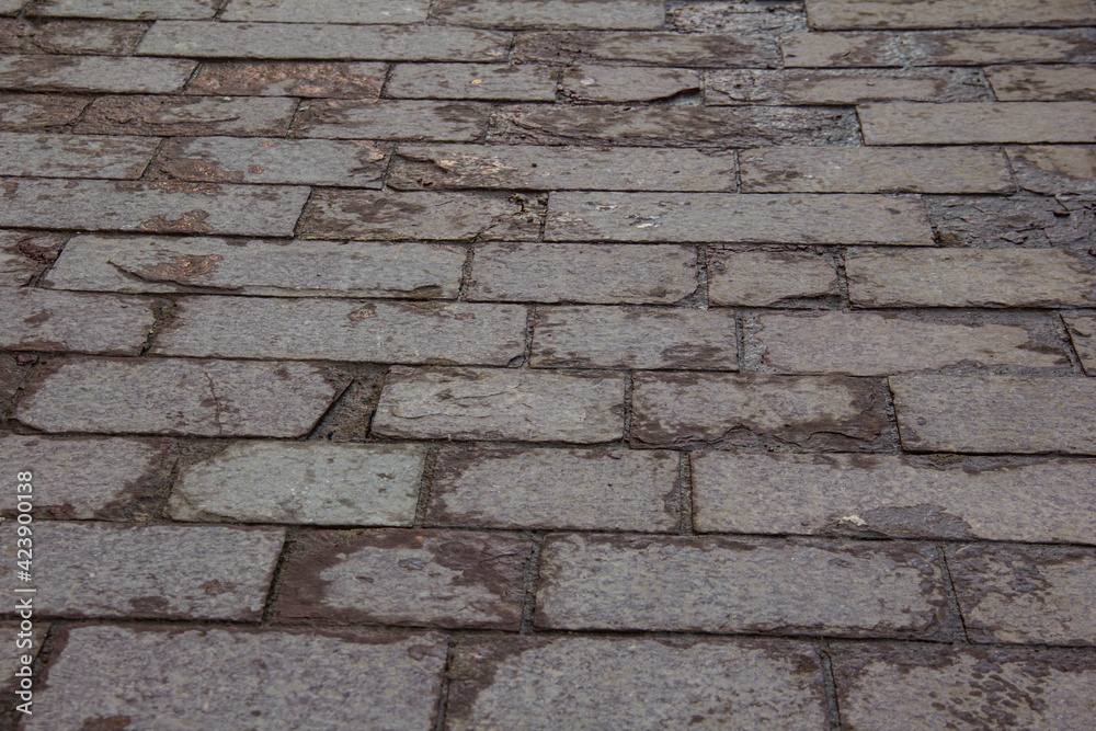 Fototapeta premium Cracked rectangular tiles on the sidewalk.