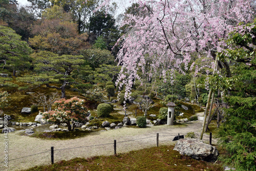 旧竹林院　庭園　滋賀県大津市坂本 photo