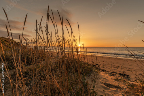 Sunrise at Whitburn Beach Sunderland England coast
