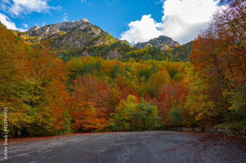 National Park of Abruzzo, Lazio and Molise (Italy) - The autumn with foliage in the mountain natural reserve, with Barrea lake, Camosciara and Val Fondillo landmark.