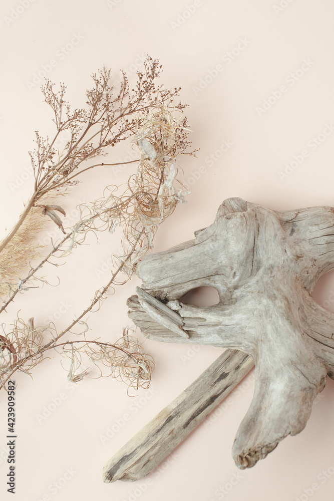 Dry reeds and wooden details on beige background. Abstract dry grass flowers, pile of dry herbs, hay or straw, background with copy space, monochrome, trendy minimal style