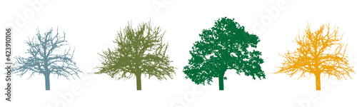 Four season of tree, silhouette tree with foliage and bare tree. Vector illustration