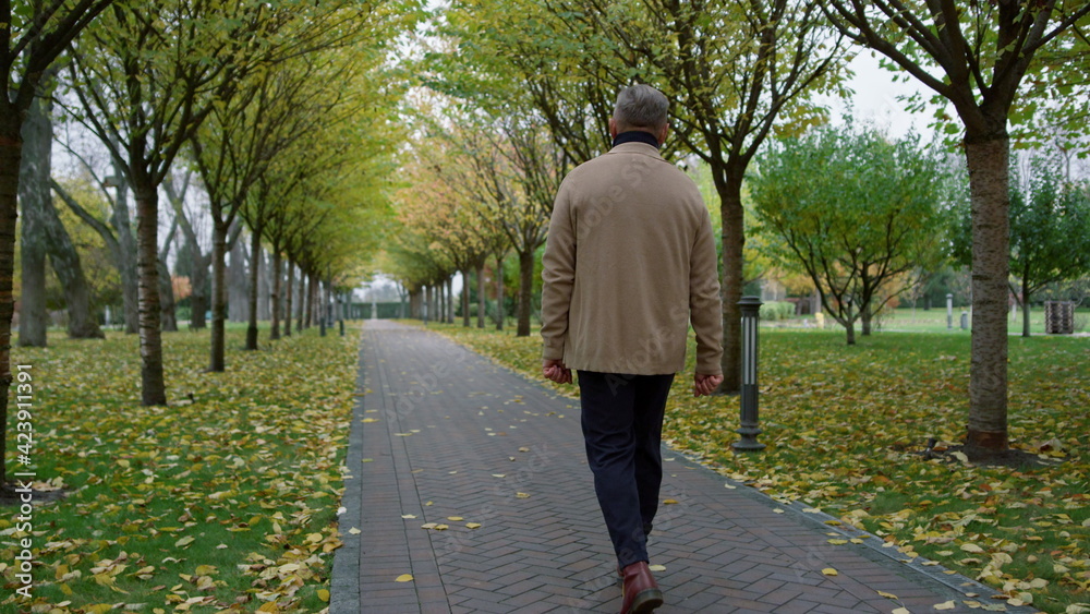 Fototapeta premium Casual man walking slowly through park in autumn weather. Mature senior going .