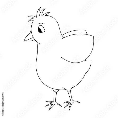 Chick. Nice hairstyle. The chick flaps its wings. Sketch. Vector illustration. Coloring book for children. The baby hen is ready to fly. Outline on white isolated background. Doodle style. 