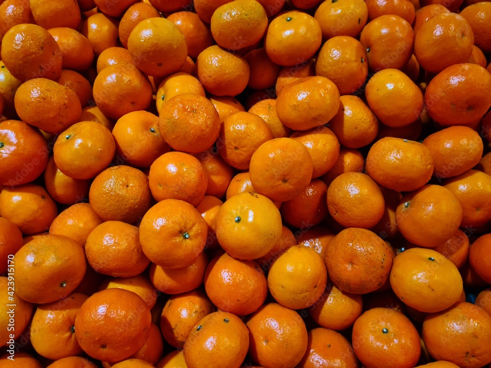 many oranges with leaf freshly picked during the harvest in the Thailand