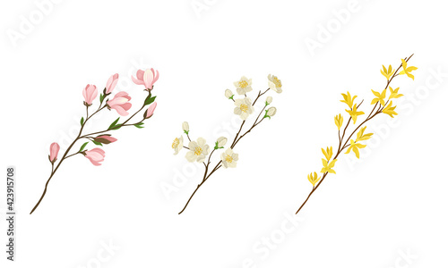 Floral Twigs and Branches with Tender Flower Buds and New Leaves Vector Set