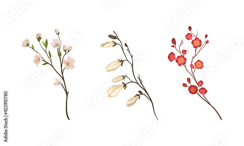 Floral Twigs and Branches with Tender Flower Buds and New Leaves Vector Set