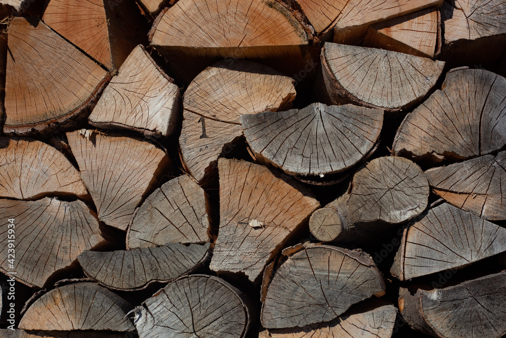 Un tas de buches de hêtre au soleil. Le bois est sec. Un tas de buches de hêtre au soleil. Le bois est sec.