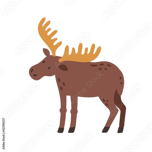 Canadian elk with horns. Scandinavian horny moose. Nordic wild animal. Colored flat vector illustration of Swedish fauna isolated on white background