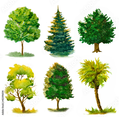 set of various watercolor trees isolated on white.