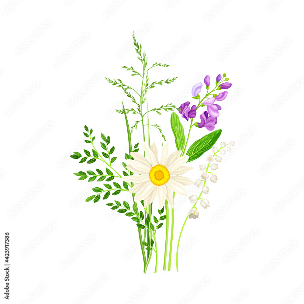 Floral Composition with Wildflowers and Meadow Plants Vector Illustration