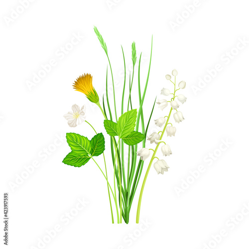 Floral Composition with Wildflowers and Meadow Plants Vector Illustration