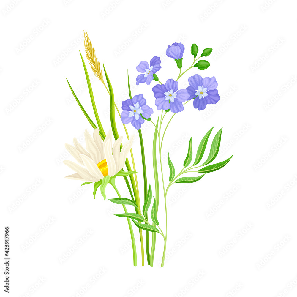 Wildflowers Composition with Meadow Plants and Flora Closeup View Vector Illustration