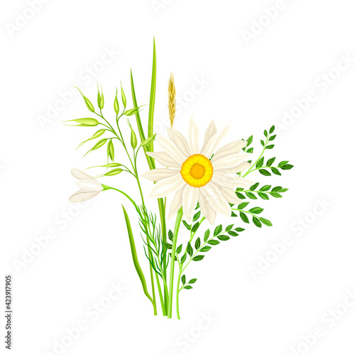 Freshly Cut Wildflowers and Meadow Plants on Stem as Floral Vector Composition