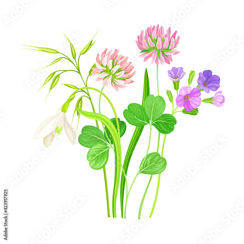 Wildflowers Composition with Meadow Plants and Flora Closeup View Vector Illustration